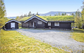 Nice home in Hemsedal w/ Jacuzzi, Sauna and 4 Bedrooms